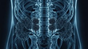 Kidney Drug Slows Organ Decline in People Without Diabetes, Trial Finds