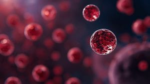 Blood Cancer Research: New Review Covers Causes and Treatments of Rare Bone Marrow Disorders