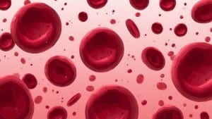 Whole Blood in Major Bleeding: What a New Clinical Trial Found