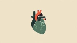 Statins Cut Heart Risk in Older Adults but Do Not Extend Healthy Life, Major Trial Finds