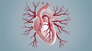 Heart Failure Trial Shows Nerve Procedure Cuts Hospital Admissions