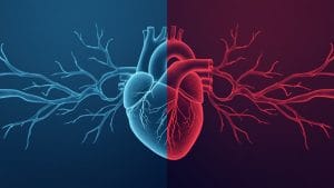 Heart Valve and Artery Treatment Order Makes No Difference to Patient Outcomes, Study Finds