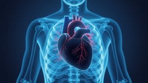Heart Drug Trial Finds Prasugrel and Ticagrelor Perform Similarly in Acute Coronary Syndromes