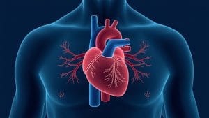 Heart Valve Surgery Trial Looks at Best Time to Treat Blocked Arteries
