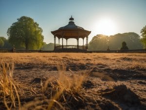Met Office says another heatwave is likely next week