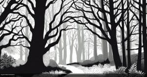 Maidstone council warns ancient woodland at risk in Kent quarry plan