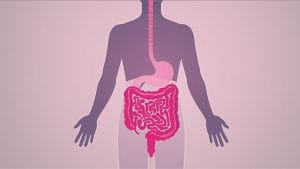 Bowel Cancer Screening Intervals May Be Longer Than Thought, Study Finds