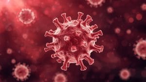 Rare Blood Disorder Carries High Cancer Risk, Major Study Finds
