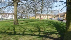 Mature trees on a grassed green surrounded by houses on the Shepway estate in Maidstone