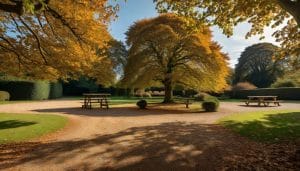 An illustrative image of a quiet English country park in autumn with golden trees, a gravel car park and a wooden play area in the distance
