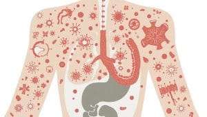 Drug Trial Shows Promise for Rare Immune Disease That Can Damage Organs