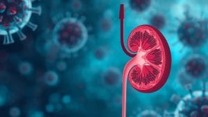 New Drug Slows Kidney Decline in IgA Nephropathy Trial