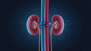 IgA Kidney Disease Drug Shows Promise in Major Phase 3 Trial