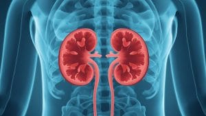 IgA Kidney Disease Trial Shows Promise in Phase 3 Interim Results