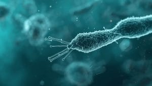 H. Pylori Should Be Tested for Antibiotic Resistance Before Treatment, Says NEJM