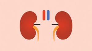 Race-Neutral Kidney Transplant List Rules Have Helped 20,000 Black Patients, Doctor Says
