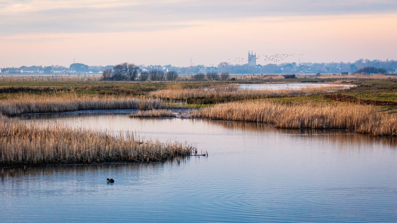 What’s Really Happening to Kent’s Rivers, Beaches and Water Bills