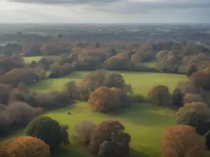 Canterbury City Council bids to purchase 220-acre Old Park estate from Ministry of Defence