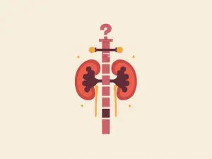 New Study Questions Accuracy of Kidney Function Tests Used Across NHS