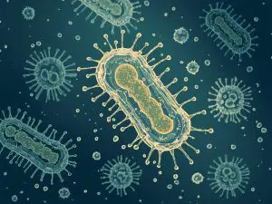 Scientists Engineer E coli to Transform Plastic Waste into Parkinson's Drug