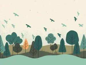 Bangladesh Measles Outbreak Claims 38 Children's Lives as Health Authorities Launch Emergency Vaccination Drive