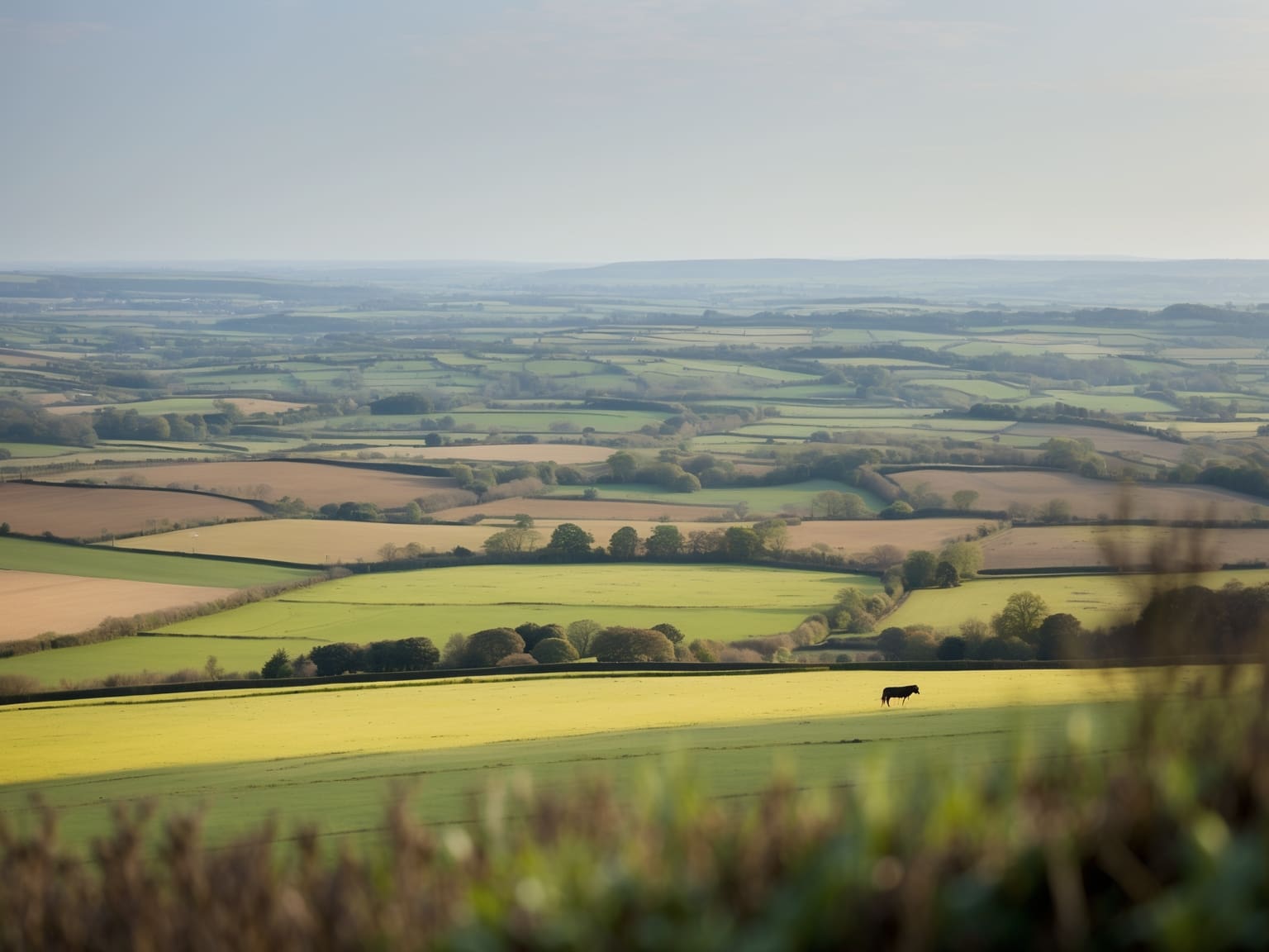 Historic Chequers Inn Landlords to Retire After 32 Years as Village Heartbeat
